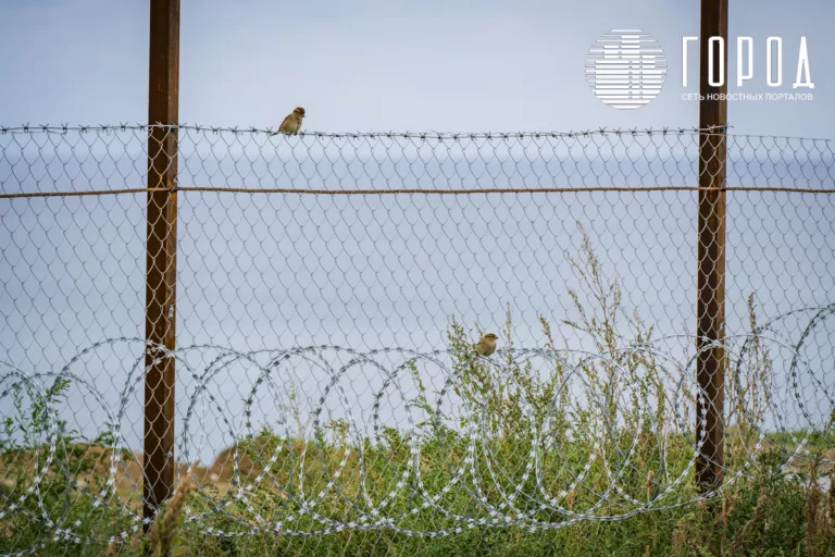 Этический кодекс жителя Краснодара разработали на основе УК РФ