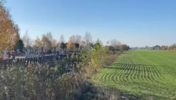 «Орошается трупным ядом»: в Краснодарском крае поля у кладбища засеяли пшеницей