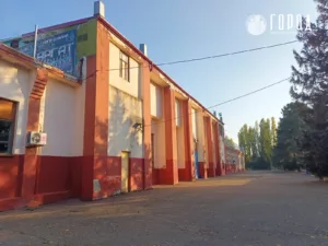 стадион Труд, новости Краснодара, Город (2)