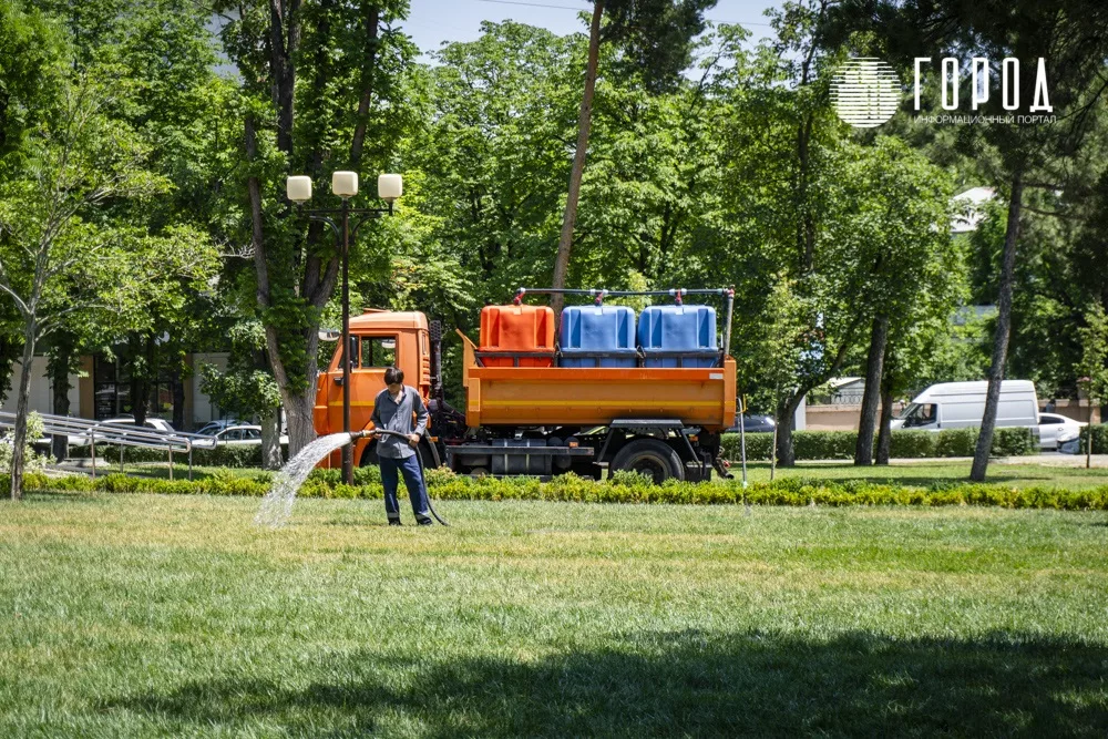 Отношение к озеленению вызывало недовольство и полвека назад. 