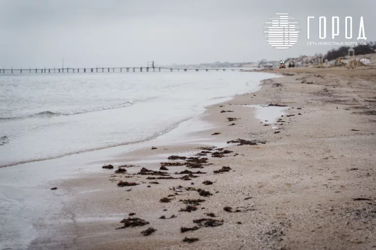 Полезный мазут и отсутствие катастрофы: как появились фейки о загрязнённых пляжах Анапы