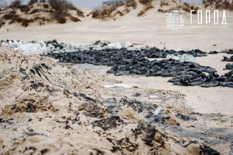 На Черноморском побережье ждут выбросов 900 тонн мазута: повторение катастрофы