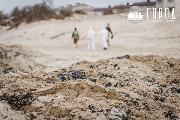 Спецтехника закапывает мазут на пляжах Краснодарского края