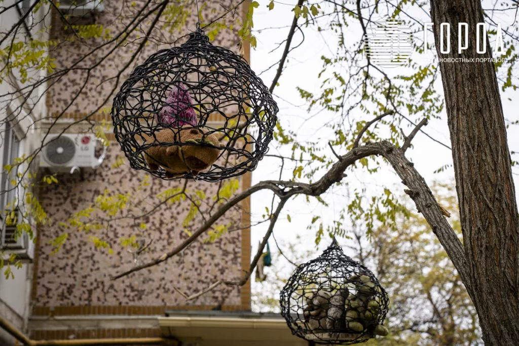 Мягкие игрушки в корзинках на дереве в Юбилейном районе Краснодара. 