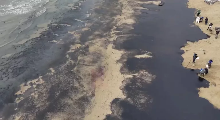 Бастрыкин приказал возбудить уголовное дело за бездействие при ликвидации экологической катастрофы в Чёрном море.