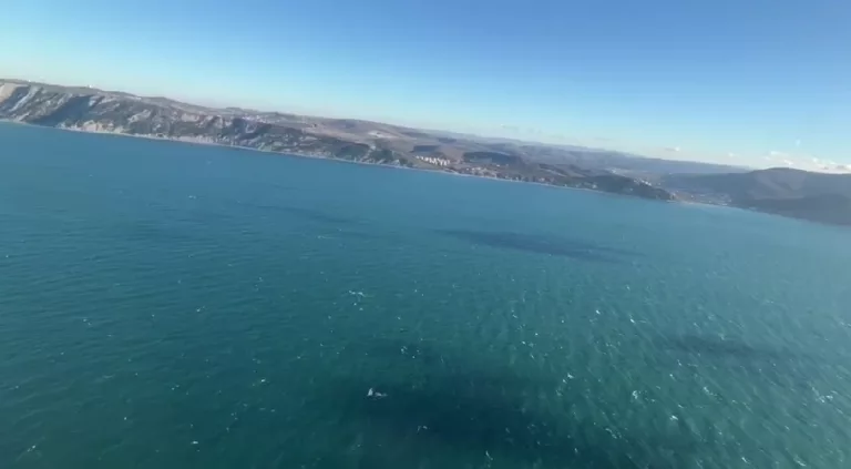 «Зачем вводили режим ЧС?»: Роспотребнадзор не нашёл загрязнений на пляжах Анапы