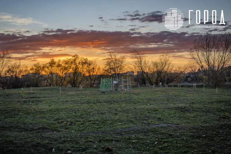 «Хочется не сойти с ума при абсурде»: краснодарцы в видеообращениях просят Путина не застраивать зелёную зону в ЮМР