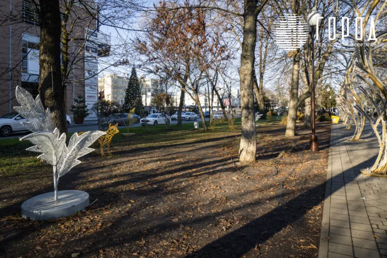 Цветы и газоны уничтожили на украшенной Галицким улице Красной Краснодара: фото