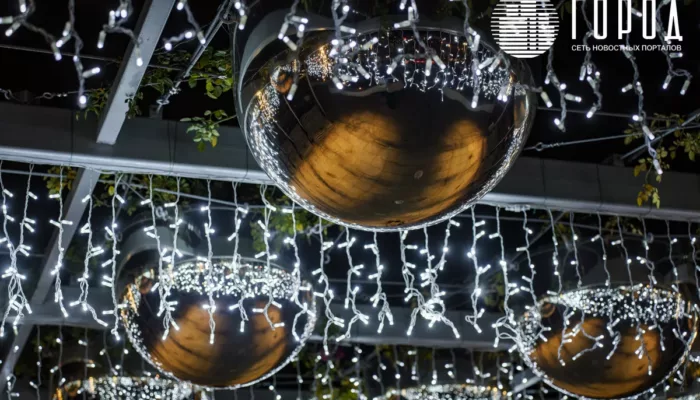 парк галицкого вечером украсили к Новому году (7)