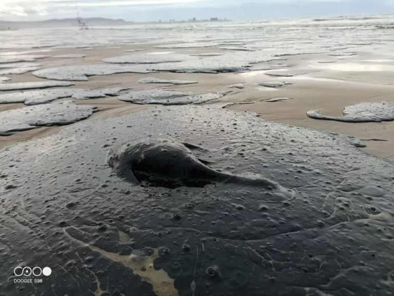 В Анапе ввели режим ЧС, купальный сезон под угрозой: чем грозит загрязнение нефтепродуктами Черноморского побережья