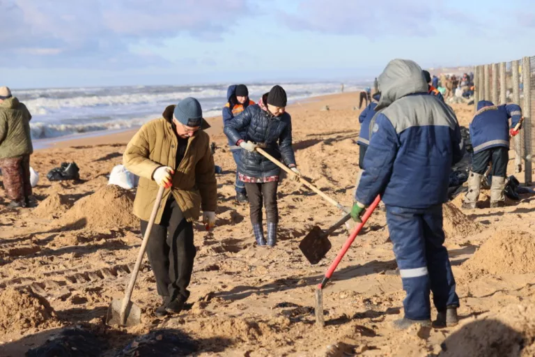 Анапа просит помощи в спасении пляжей от мазута: видео