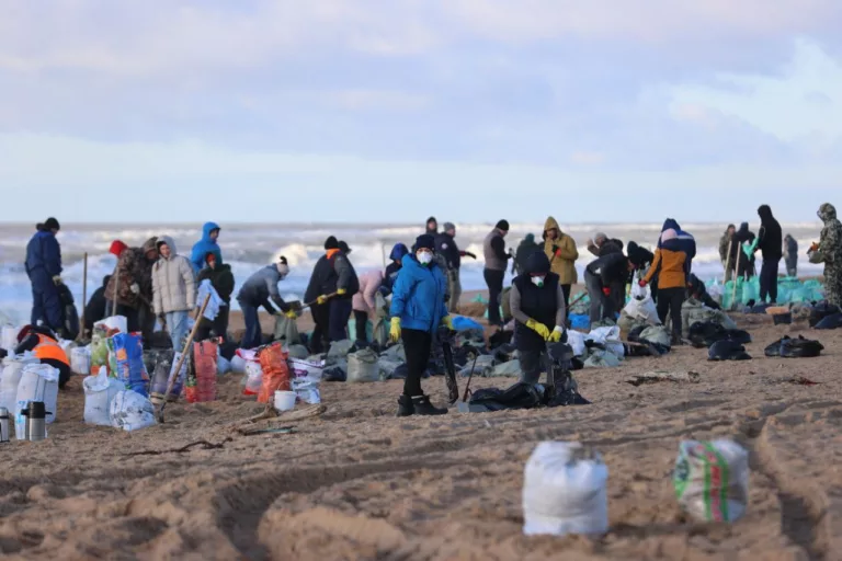 «Не до этих вопросов»: владельцы танкеров «Волгонефть» об участии в ликвидации катастрофы