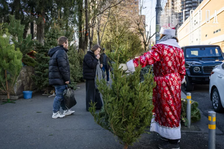 От 1500 до 11000 рублей: какие ёлки продают к Новому году в Краснодаре