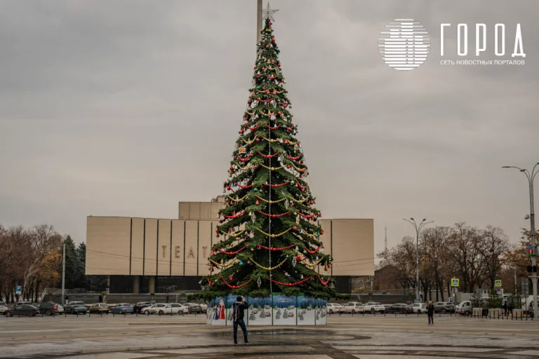 В Краснодаре установили главную новогоднюю ёлку: фотографии