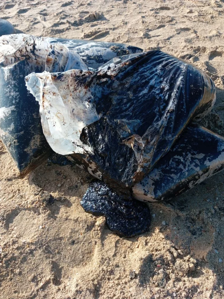 В мазуте пляжи Азовского моря (2)