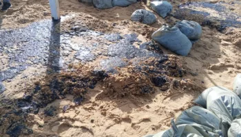 В мазуте пляжи Азовского моря (3)