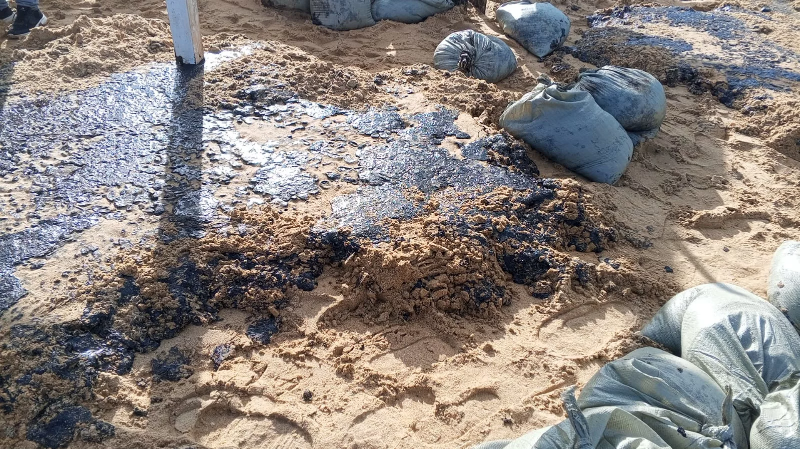 В мазуте пляжи Азовского моря (3)