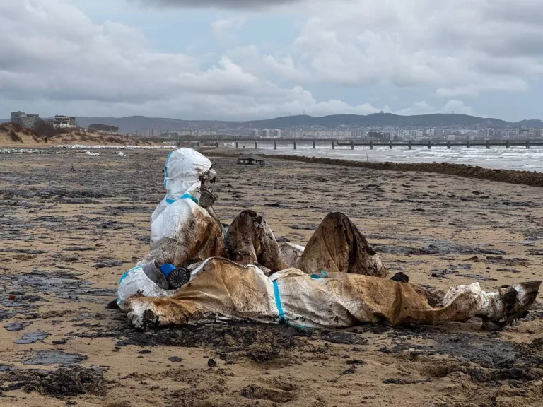 Кремль признал экологическую катастрофу в Чёрном море.