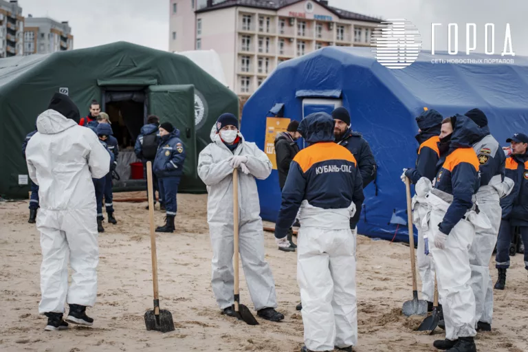 Усилий недостаточно: Путин потребовал создать штаб на месте ликвидации последствий разлива мазута
