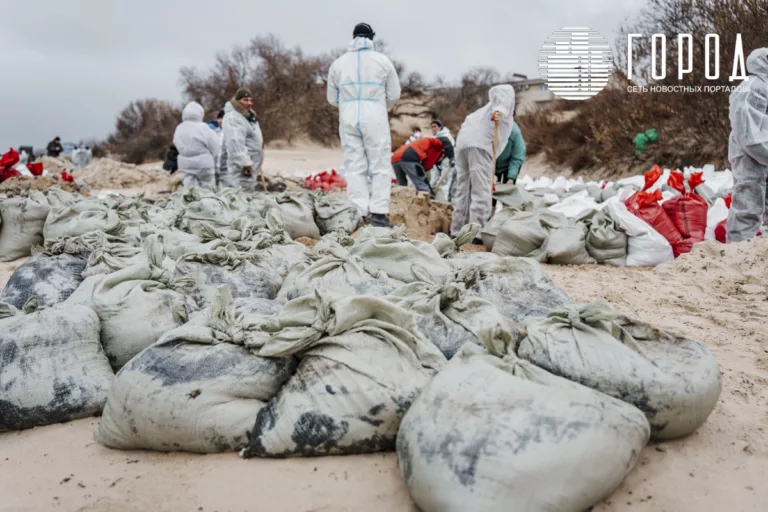 Как тратят деньги на ликвидацию мазутной катастрофы в Чёрном море