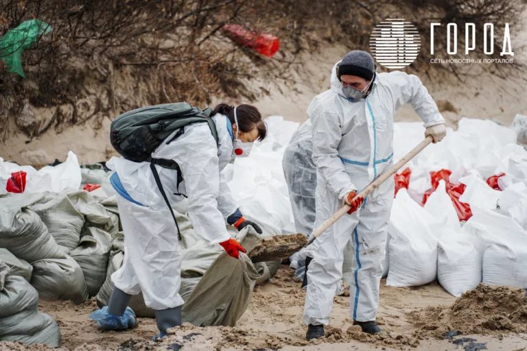 «Вначале просто опускались руки»:  как волонтёры убирают мазут с пляжей Анапы
