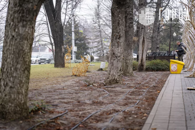 Мэрия Краснодара объявила о многомиллионном ущербе от уничтожения газонов на улице Красной