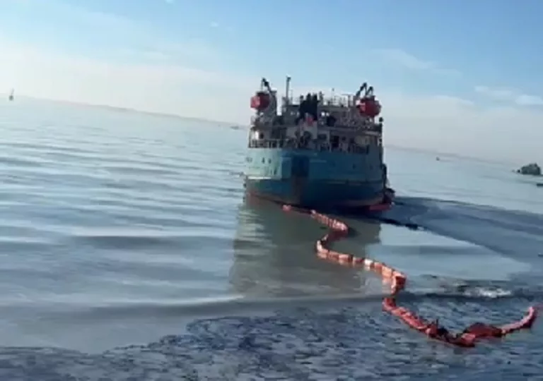 Власти заметили утечки мазута в Чёрное море после признания Путина