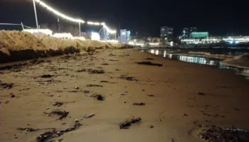 Новые выбросы мазута в Анапе