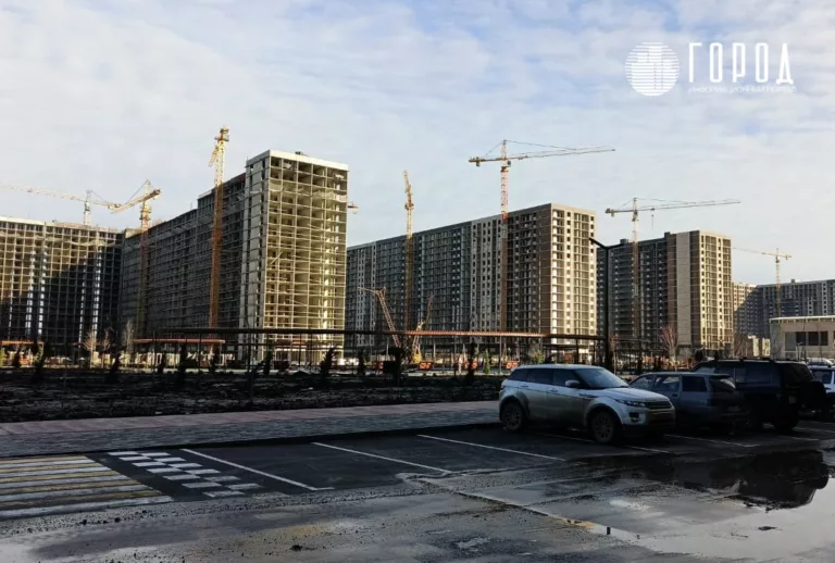 Рост цен на аренду и снижение продаж в новостройках: что происходит на рынке недвижимости Краснодара