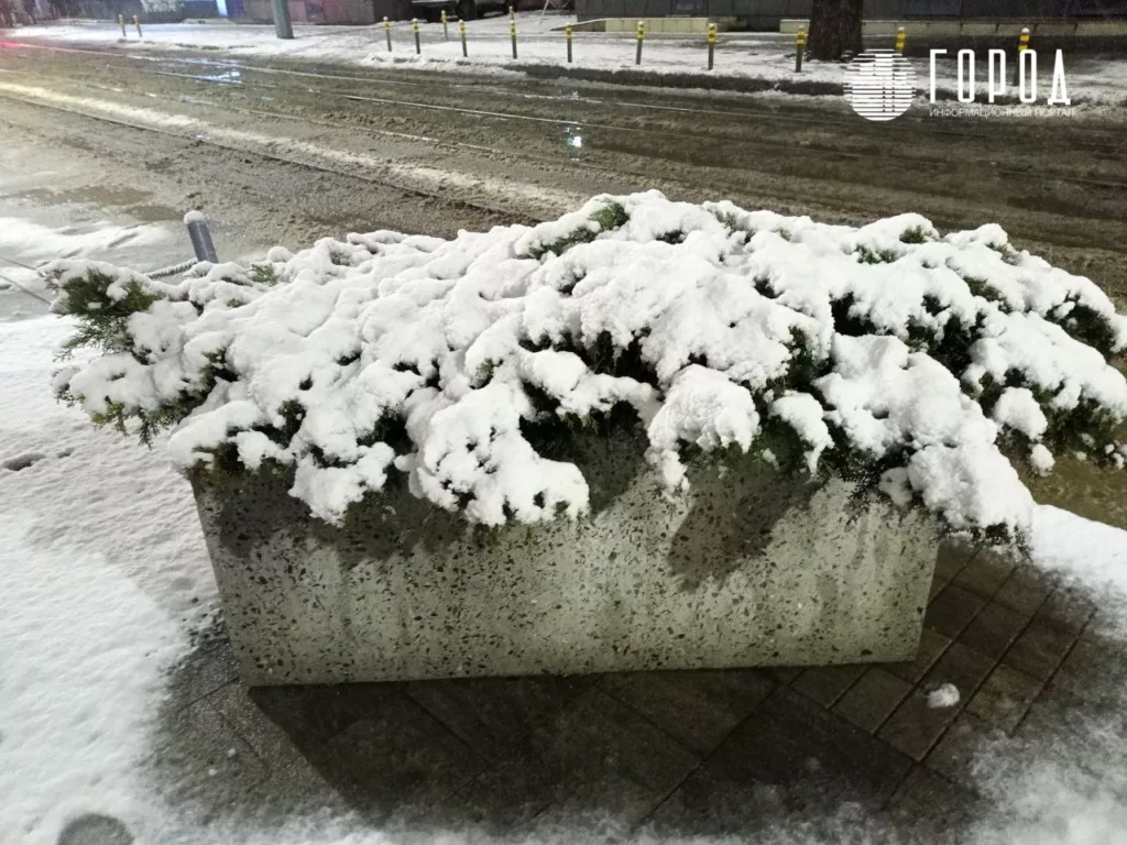 Снегопад в Краснодаре 13 января 2025 года (3)