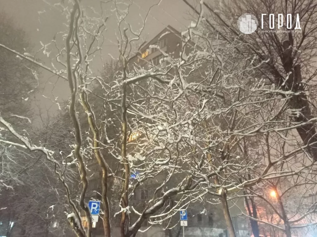 Снегопад в Краснодаре 13 января 2025 года (7)