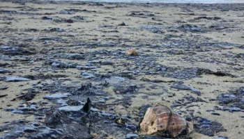 В Анапе сняли новые загрязнённые пляжи Чёрного моря
