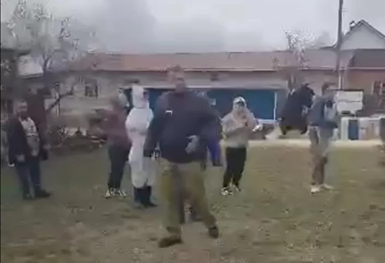 «Они просто умрут»: власти изымают 700 ослабших птиц для выпуска в Чёрное море