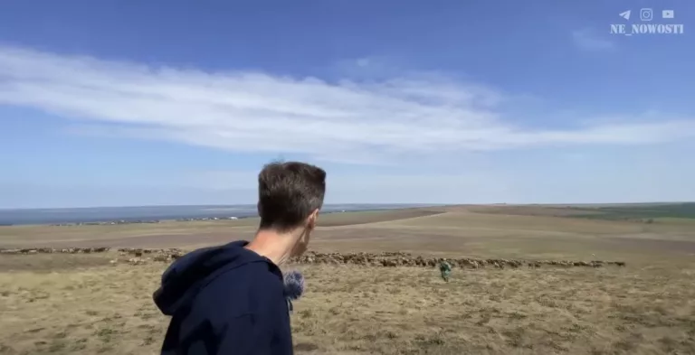 В Краснодарском крае егерь годами пасёт скот в заповедной зоне: свинарник у Таманского  залива