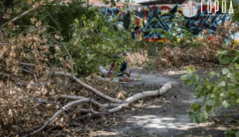 новости краснодара, город, единая набережная, ЮМР, тургеневский мост, река, кубань (75)