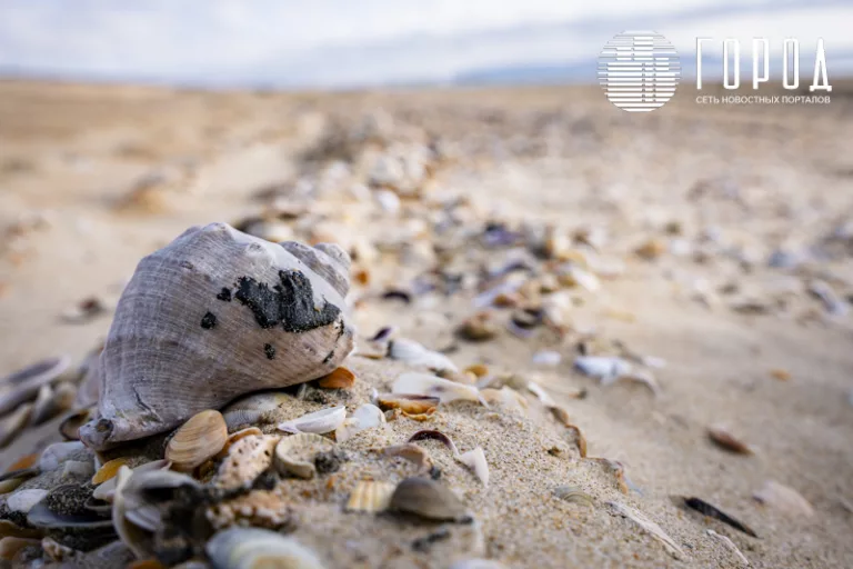 Роспотребнадзор продлил запрет купального сезона в Анапе