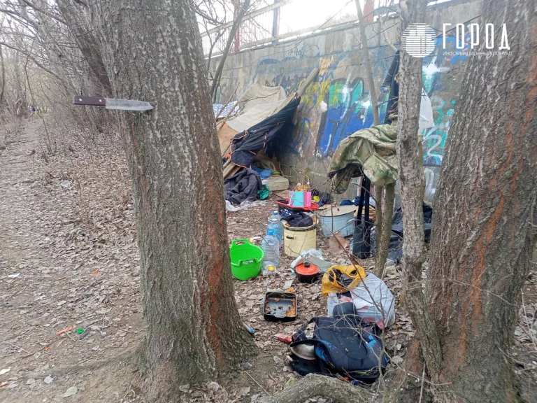 У пересохшего грязного Затона Краснодара разбили лагерь бездомные