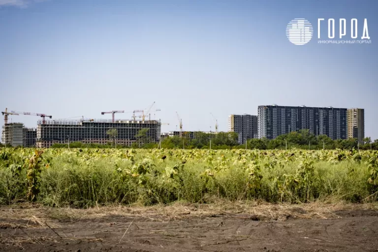 Госдума разрешила строить гостиницы на виноградниках Кубани