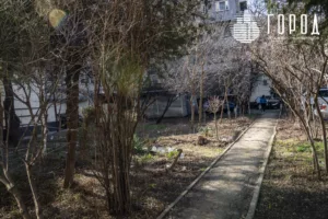 образцовый двор у администрации Краснодарского края (11)
