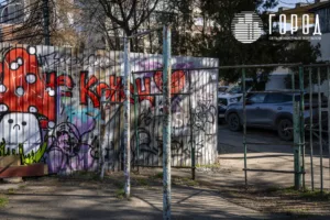 образцовый двор у администрации Краснодарского края (14)