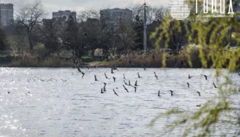 Что отмечают на Кубани 22 марта