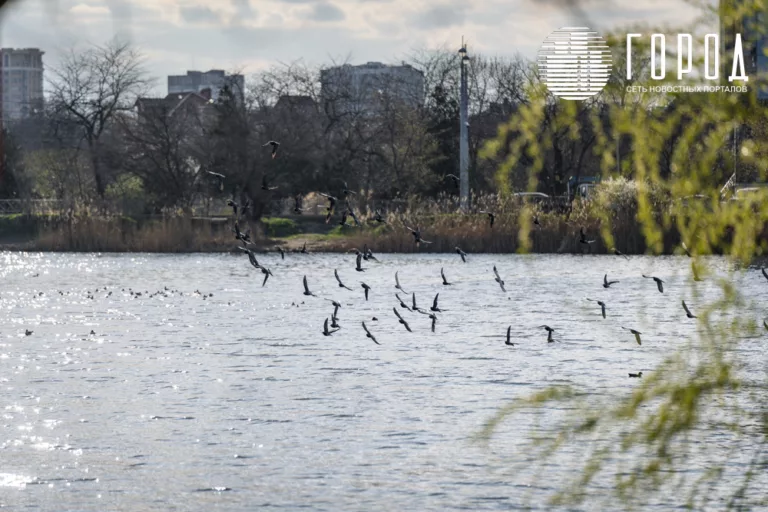 Сороки, память 40 мучеников, день весеннего равноденствия: что на Кубани отмечают 22 марта