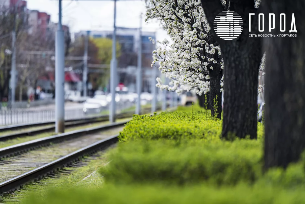 Цветущая улица Ставропольская (1)