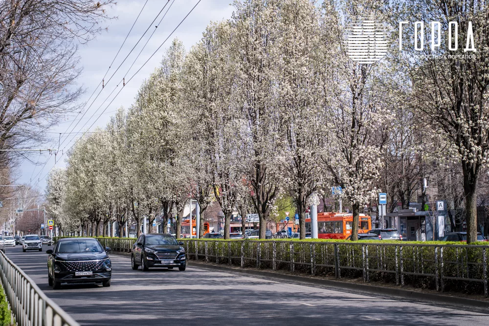 Цветущая улица Ставропольская (10)