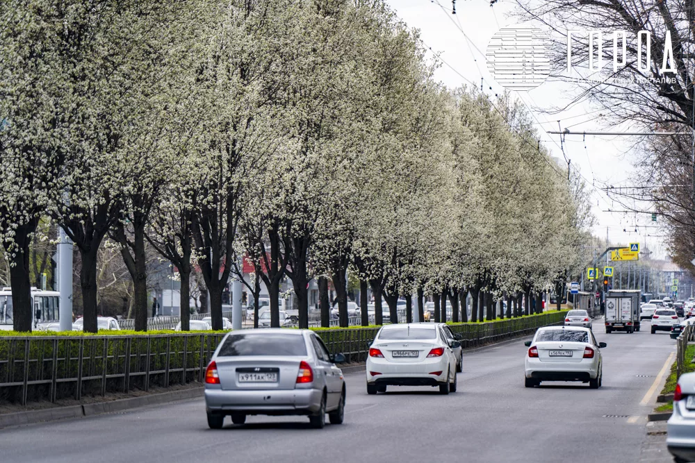 Цветущая улица Ставропольская (2)