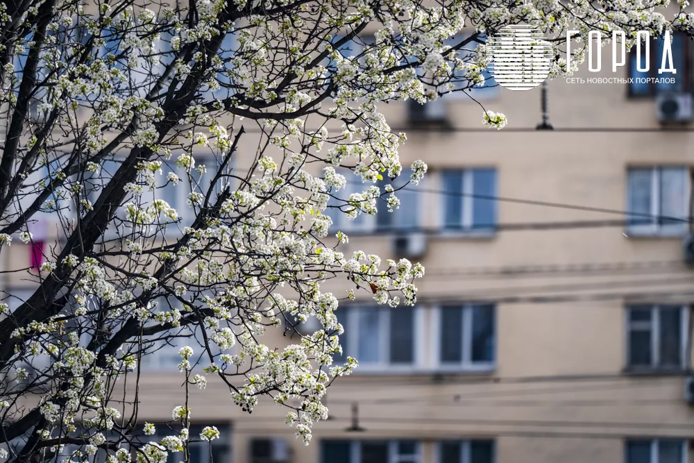 Одно из самых ярких мест Краснодара сегодня