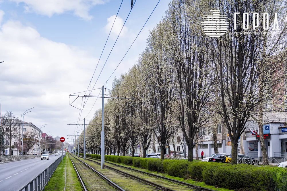 Яркая зелёная травка у трамвайных путей и деревьев