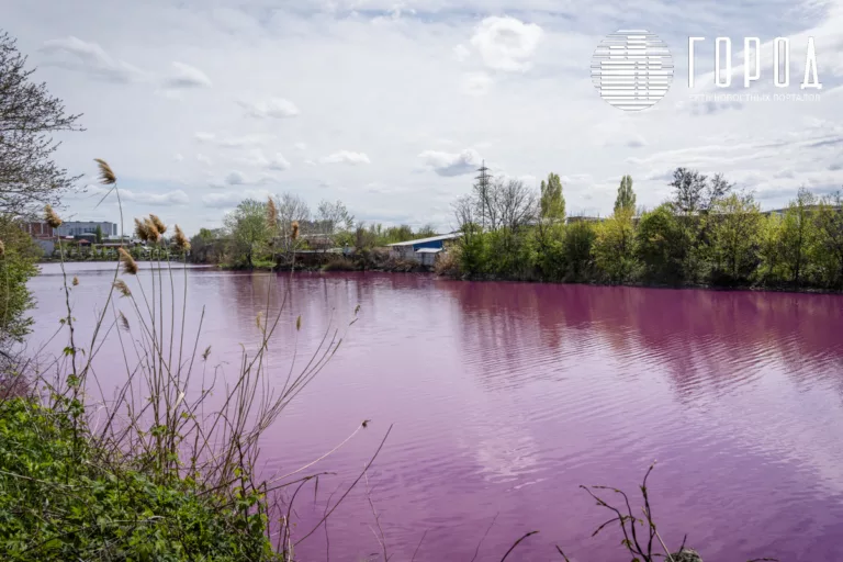 Розовое озеро в Краснодаре не могут объяснить учёные