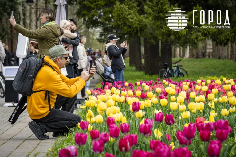 Тюльпаны в Ботаническом саду Краснодара: столпотворения к 150 тысячам цветов