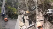 Одну из компаний ранее обвинили в уничтожении деревьев в сквере Захара Чепеги